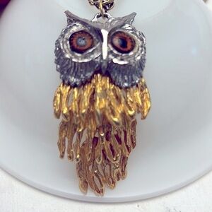 Vintage Hinged Owl necklace with glass eyes 24” chain